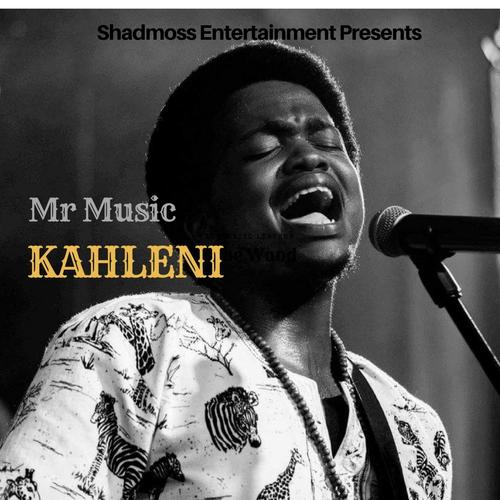 Mr Music Songs MP3 Download